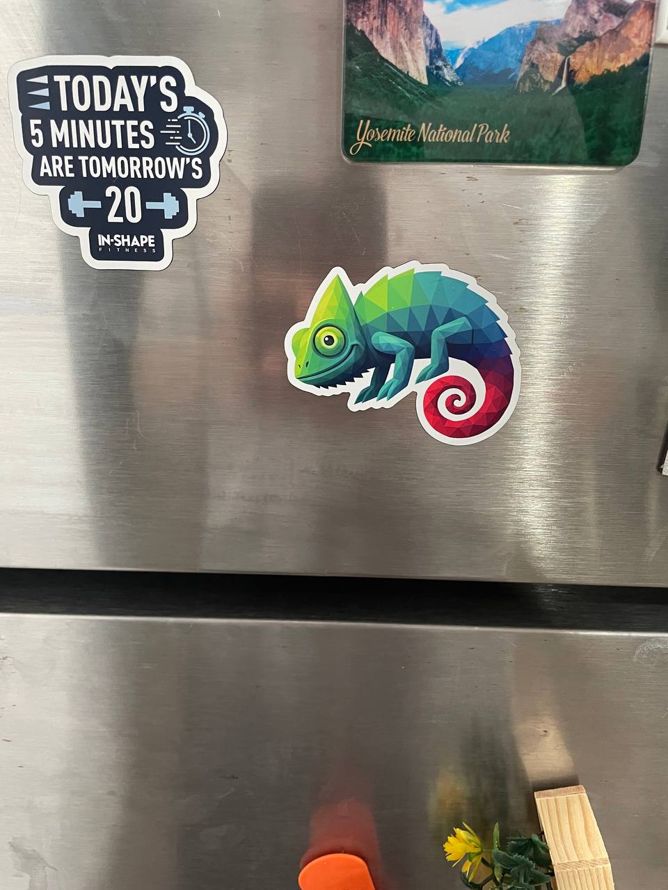 Chameleon magnet on a fridge with fitness and Yosemite magnets