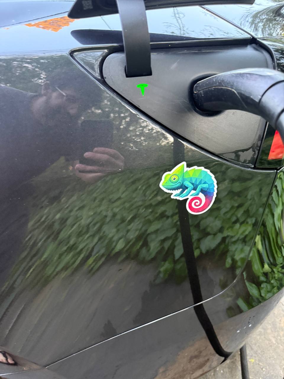 Chameleon sticker on a Tesla