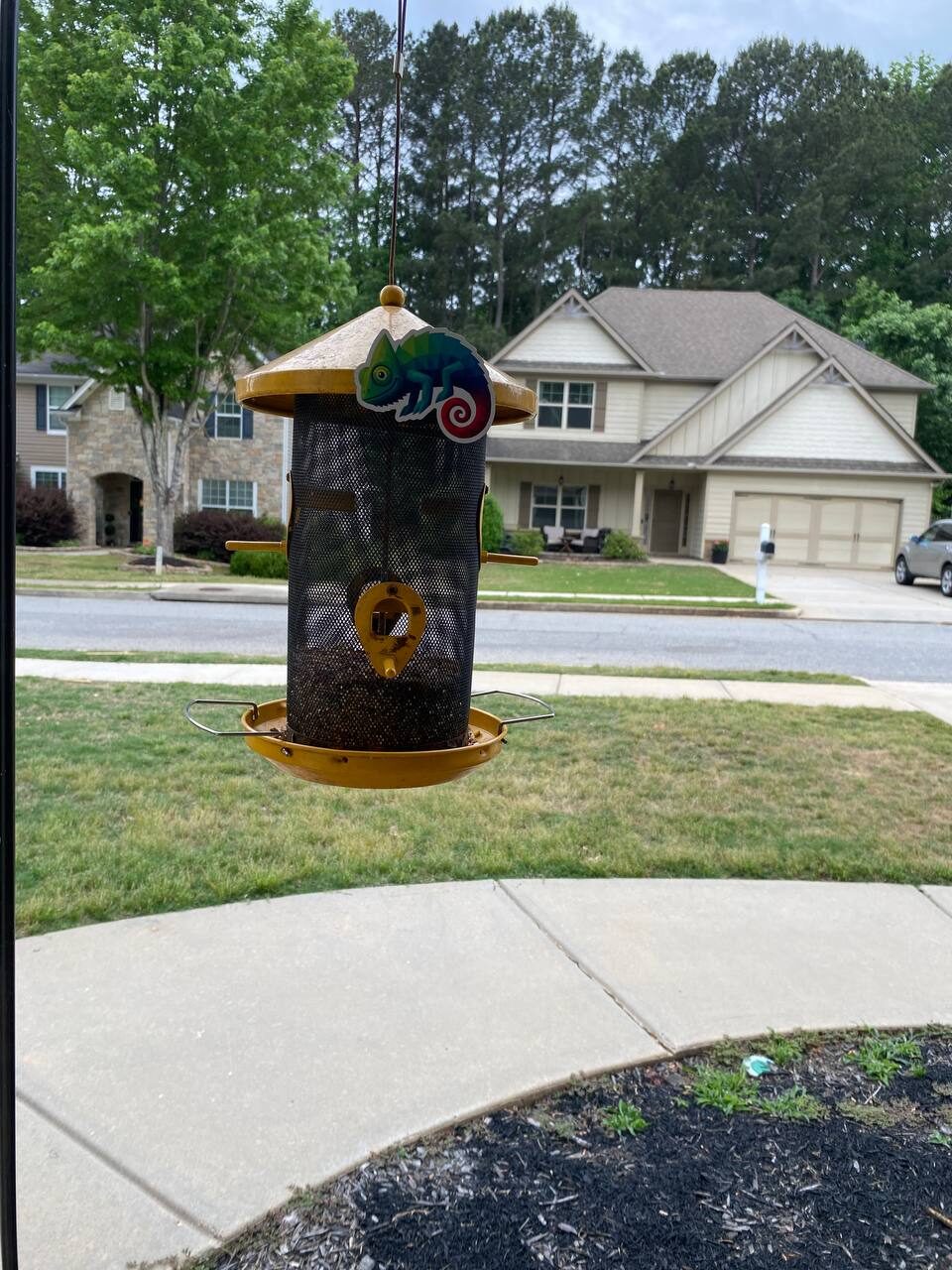 Decorative chameleon ornament perched on a yellow bird feeder in a front yard