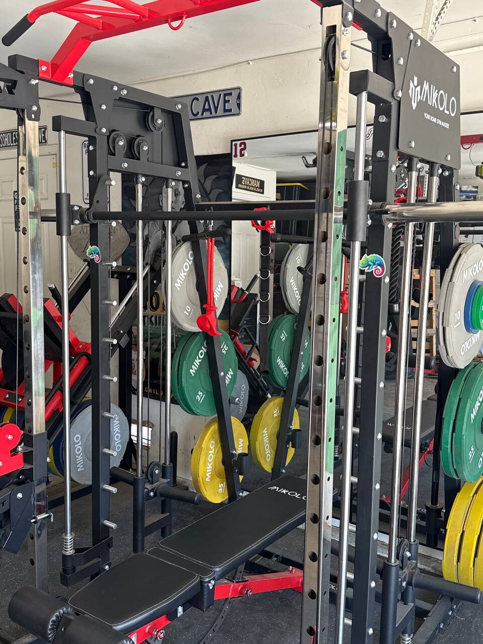 Chameleon sticker on a home gym weight rack
