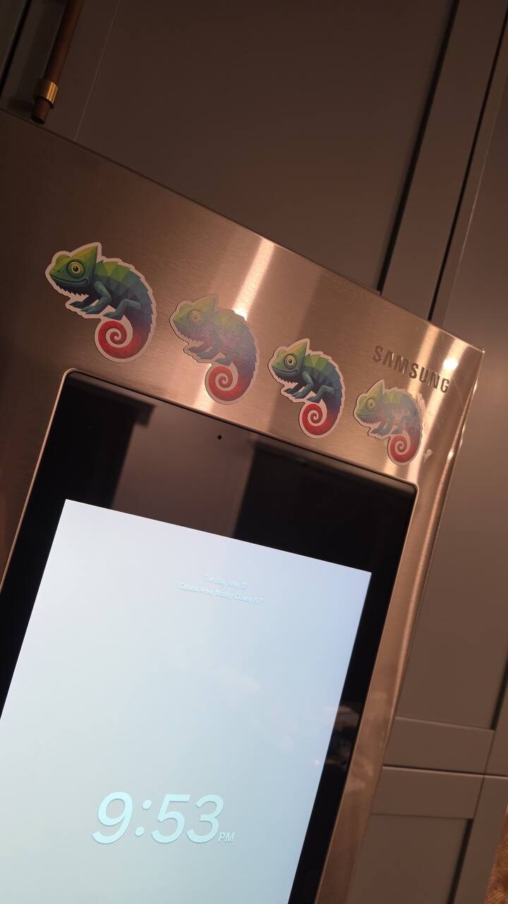 Chameleon stickers on a stainless steel refrigerator