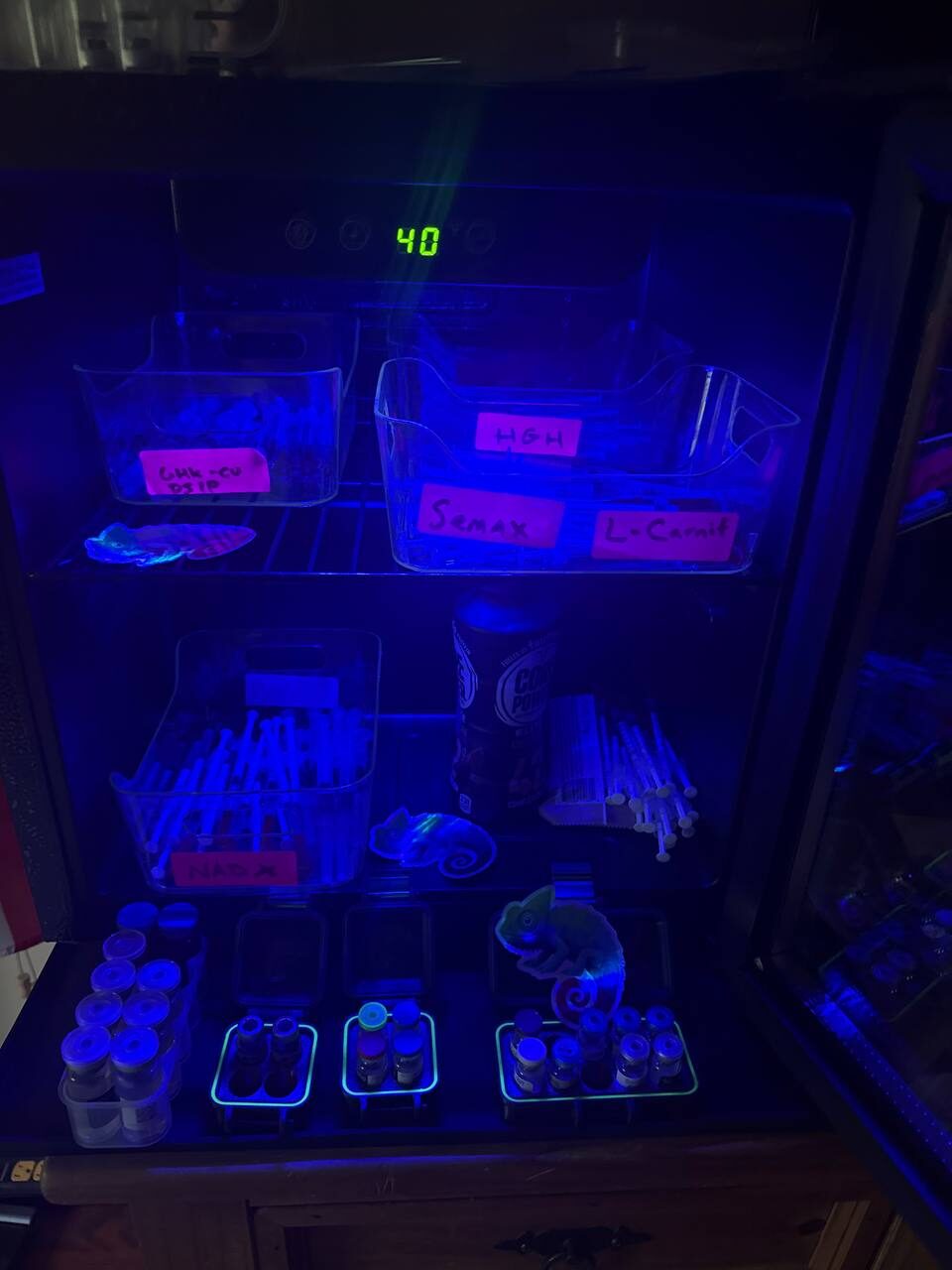 Chameleon stickers inside a blue-lit storage fridge