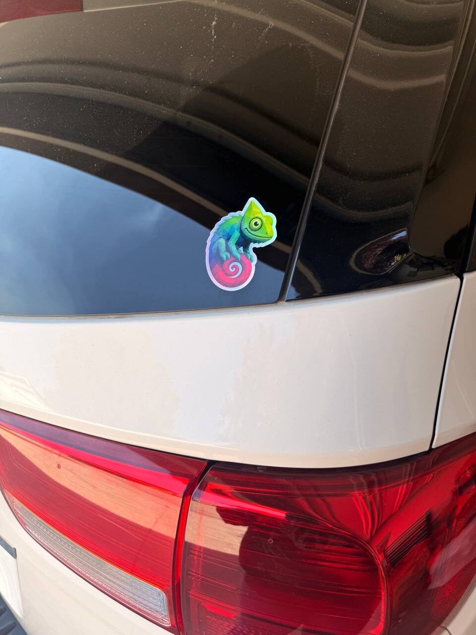 Chameleon stickers on a light blue water bottle and tumbler outdoors on grass