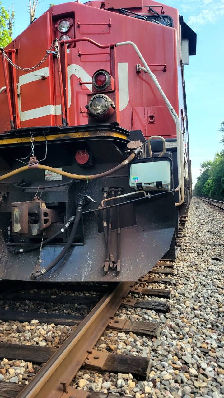 Chameleon sticker on the side mirror of a red locomotive