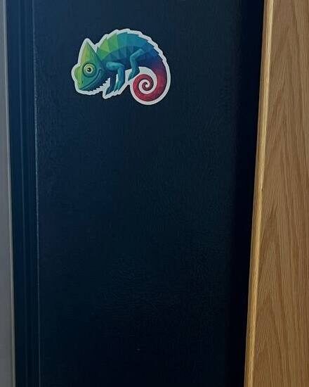 Chameleon sticker on a black refrigerator in McCleary